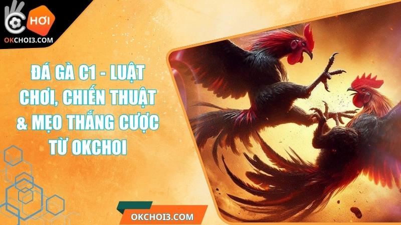 Đá Gà C1 - Luật Chơi, Chiến Thuật & Mẹo Thắng Cược Từ OKCHOI