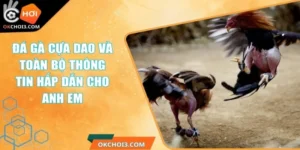 da ga cua dao