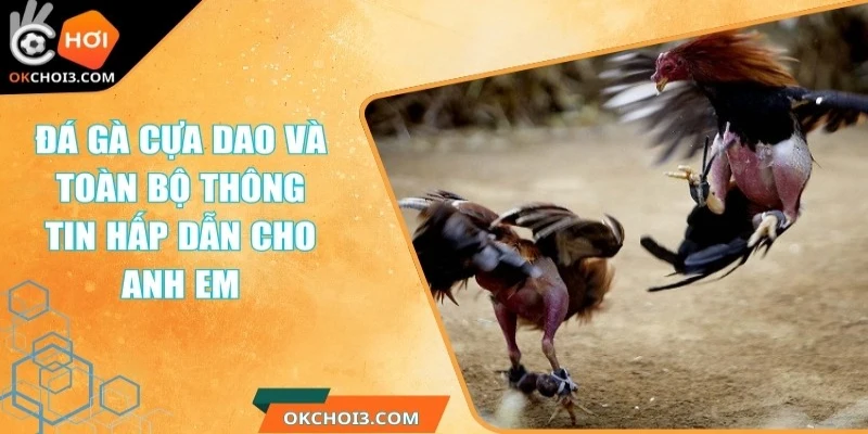 da ga cua dao