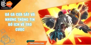 da ga cua sat