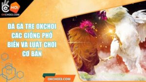Đá Gà Tre OKCHOI - Các Giống Phổ Biến Và Luật Chơi Cơ Bản